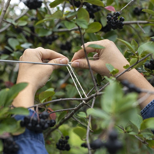 Spago in sisal 1,8 mm/115 m/250 g - 7