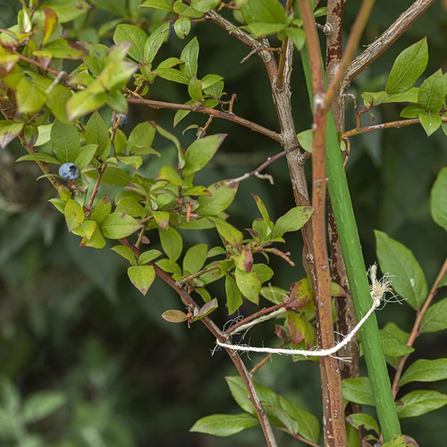 Spago in sisal 1,8 mm/115 m/250 g - 8