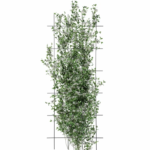 Supporto per piante - graticcio (150cm x 60cm) - 3 pezzi - 3