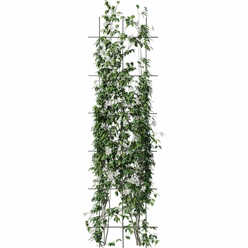 Supporto per piante - graticcio da giardino 150 x 45 cm - 3