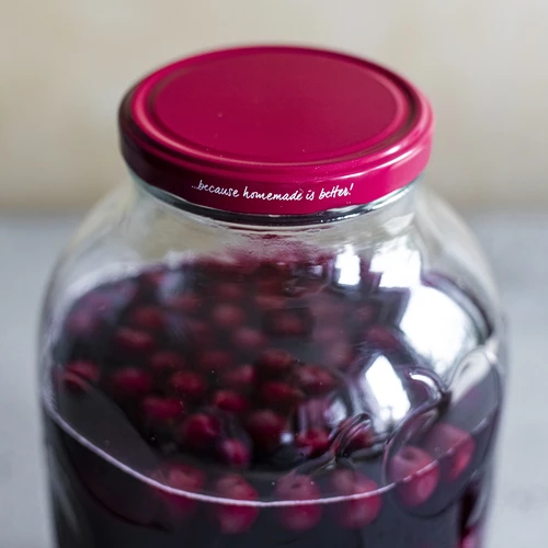 Tappo fi 100 bordeaux - 10 pezzi - 6