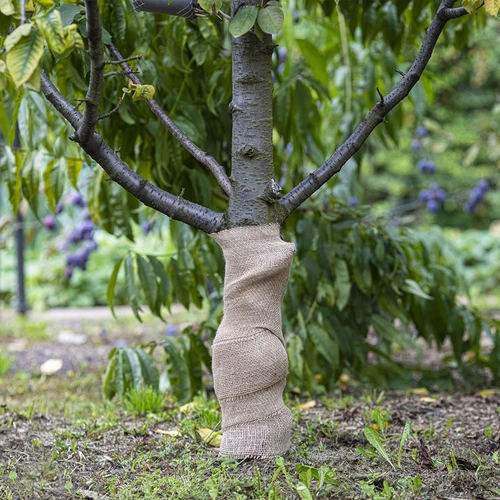 Taśma jutowa 10 cm/5 m - 5