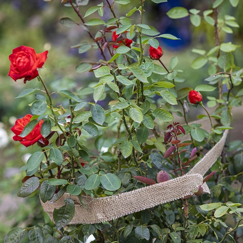 Taśma jutowa 5 cm /  8 m - 7