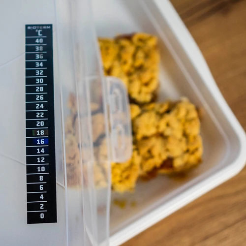 Termometro a cristalli liquidi (da 0°C a +40°C) 15 cm - 5