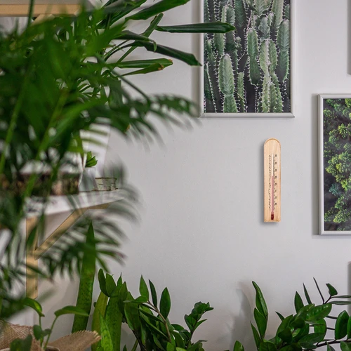 Termometro da camera con motivo (-20°C a +50°C) 20cm - 5