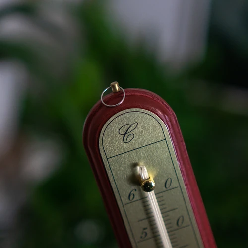 Termometro da camera con scala dorata (-10°C a +60°C) 28cm mix - 7
