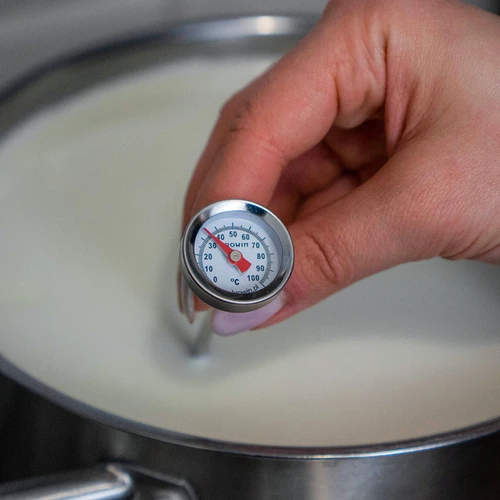 Termometro da cucina (0 °C a +100 °C) 12,3 cm - 5
