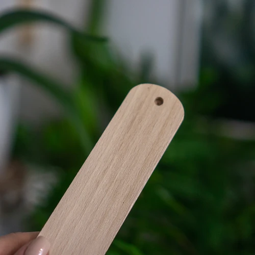 Termometro da interno con grafica (-20°C a +50°C) 20 cm - 4