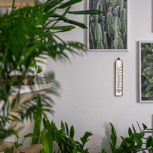 Termometro da interno con scala bianca (da -30°C a +50°C) 20 cm - 6