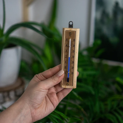 Termometro da interno con scala dorata (-10°C a +50°C) 12 cm - 5