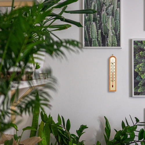 Termometro da interno con scala dorata (da -10°C a +50°C) 22 cm, mix - 5