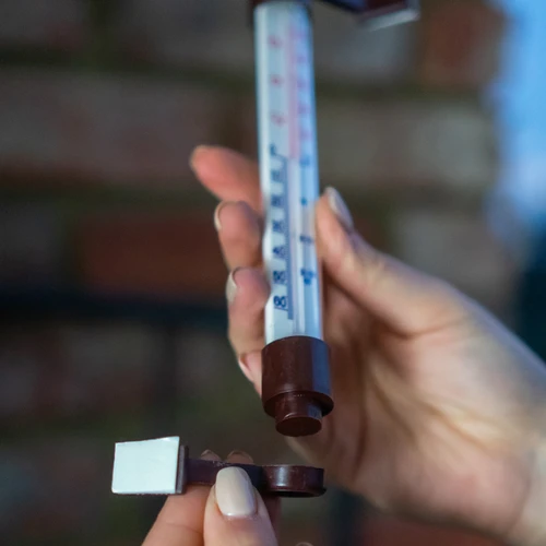 Termometro esterno marrone (-50°C a +50°C) 18 cm - 5