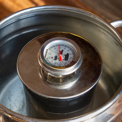 Termometro per arrosti di carne (da 0°C a +120°C) 12,5 cm - 12