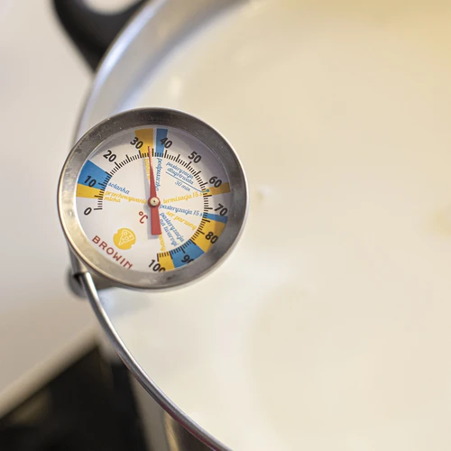 Termometro per caseificazione (0°C a +100°C) 19,8 cm - 3