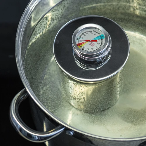 Termometro per cuoci-prosciutto 1,5 kg e 3 kg (0 °C a +120 °C) 12,5 cm - 5