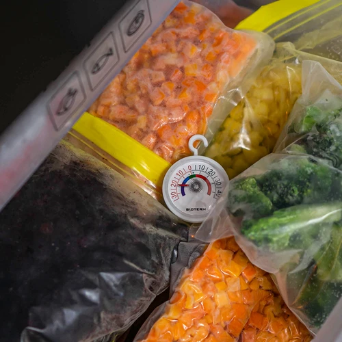 Termometro per frigoriferi e congelatori (-35°C / +45°C) Ø 5 cm - 5