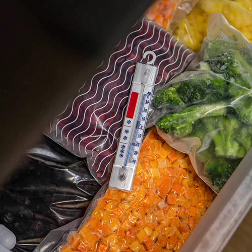 Termometro per frigoriferi e congelatori (-40°C a +40°C) 15 cm - 6