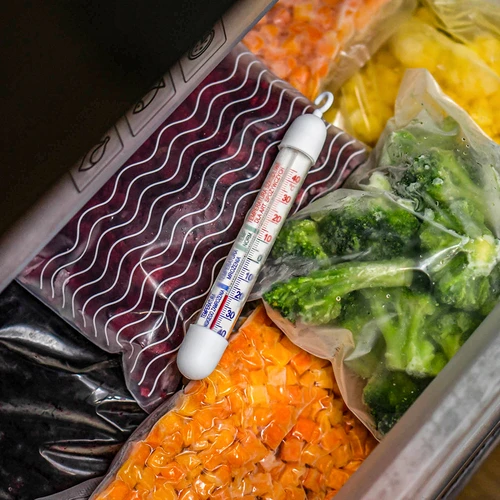 Termometro per frigoriferi e congelatori (-50°C a +40°C) 17 cm - 6