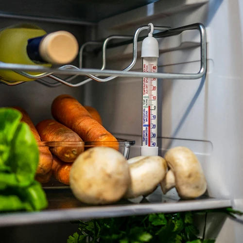 Termometro per frigoriferi e congelatori (-50°C a +40°C) 17 cm - 5