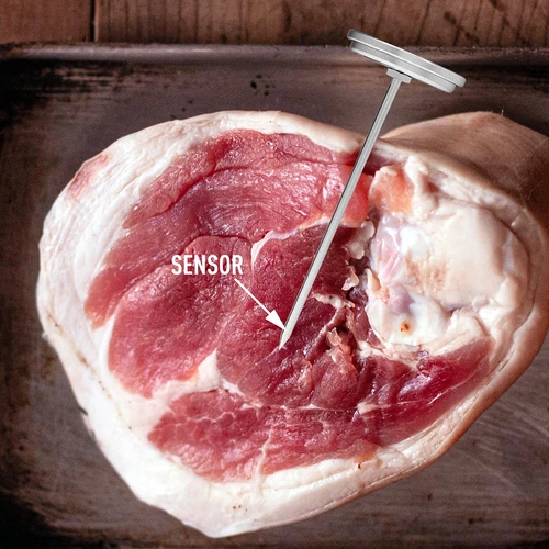 Termometro per pressa per prosciutto 0,8 kg (0°C a +120°C) 9,0cm - 6