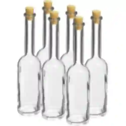 Bottiglia per liquore 100 ml 6 pz + 6 tappi
