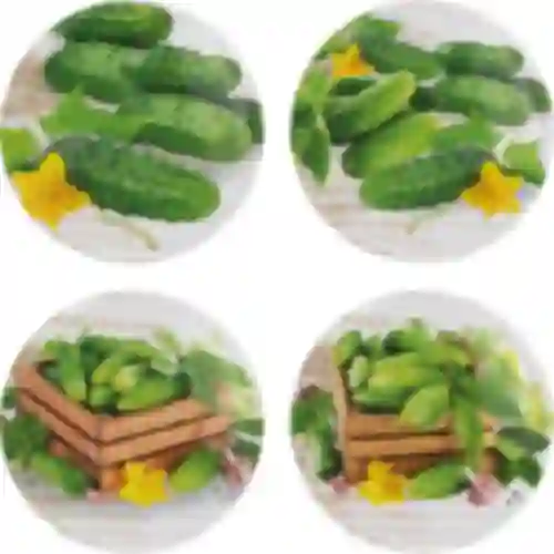 Tappo fi100 cetrioli mix - 10 pezzi