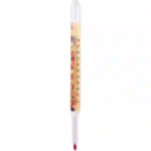 Termometro per conserve (0°C a +100°C) 22cm