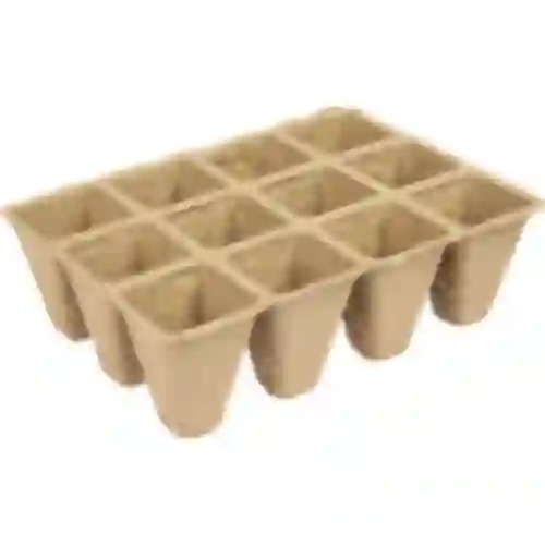 Vasi di carta 4 x 4 x 4,5, set di 5 pezzi