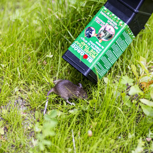 Trappola per topi a cattura viva - 10