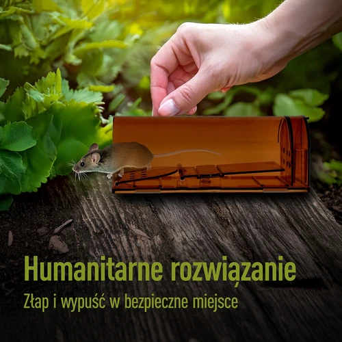 Trappola per topi – trappola viva, trasparente, 2 pezzi - 7