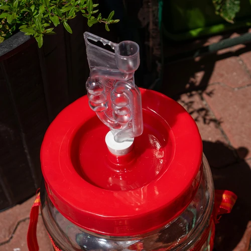 Tubo di fermentazione a 6 camere con tappo protettivo - 4