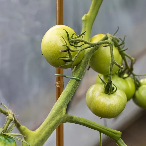 Tutore in acciaio rivestito effetto bambù, 90 cm x 8 mm - 5