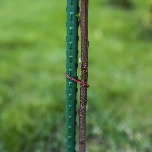 Tutori da giardino Bioogród – acciaio rivestito, 1,2 m, Ø 11 mm, 10 pz. - 5