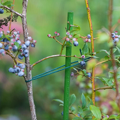 Tutori da giardino Bioogród – acciaio rivestito, 1,8 m, diametro 11 mm, 10 pezzi - 4