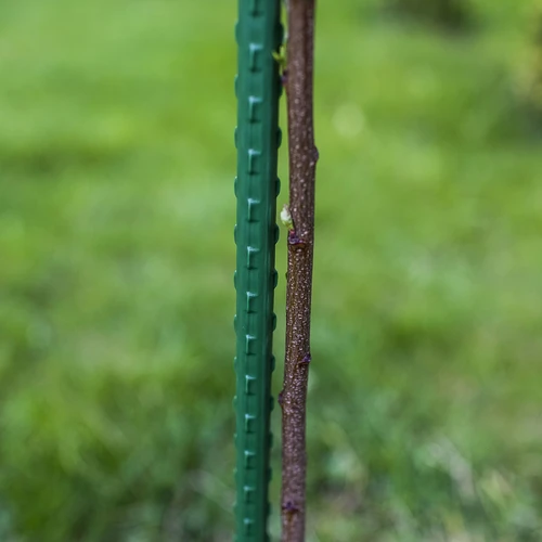 Tyczka stalowa powlekana PE 0,8m x 8mm - 3
