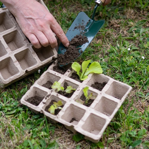 Vasetti in carta 4,5x5x4,5 cm, 30 pezzi - 7