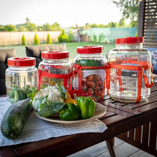 Vaso in vetro universale da 10 L - 10