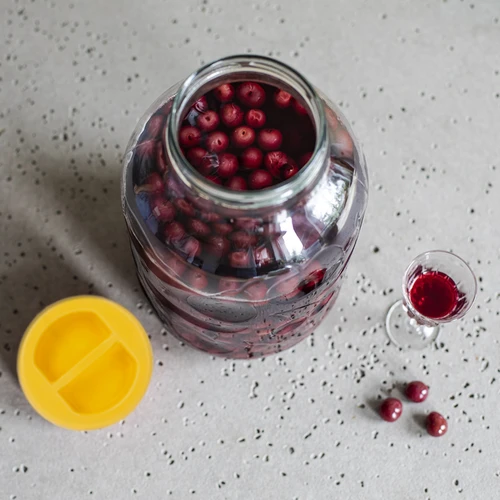 Vaso TO 5 L con coperchio in plastica Ø 100 con manico - 6