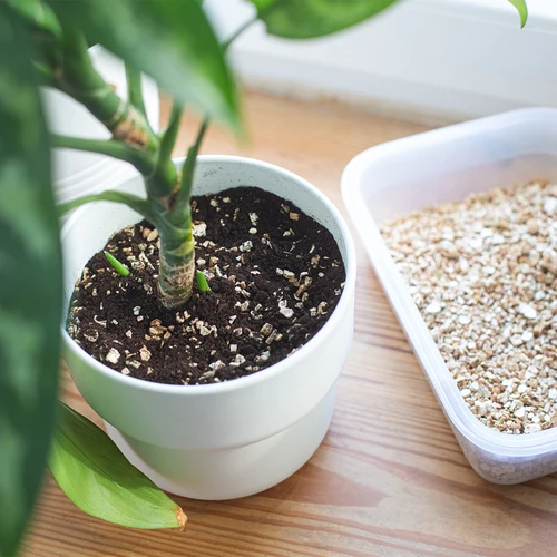 Vermiculite per piante in vaso e giardinaggio, 2 L - 8