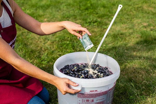 Come fare il vino passo dopo passo?