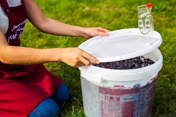 Come fare il vino passo dopo passo?