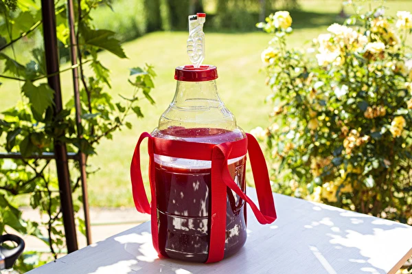 Come fare il vino passo dopo passo?