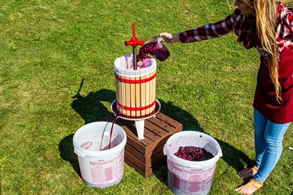 Come fare il vino passo dopo passo?