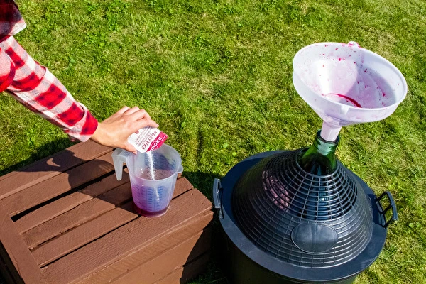 Come fare il vino passo dopo passo?