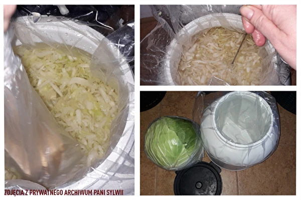 Crauti secondo la ricetta della signora Sylwia