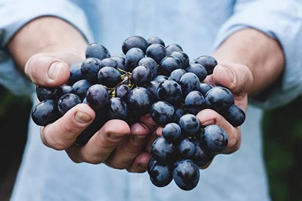 Grappa fatta in casa
