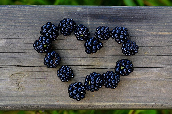 Liquore di more fatto in casa