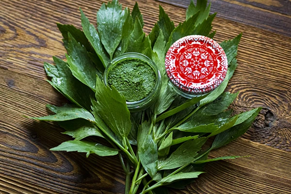 Pasta di levistico — insaporitore MAGGI fatto in casa