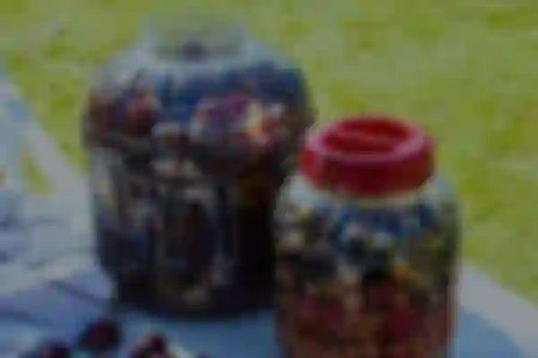 DELIZIE STAGIONALI IN BARATTOLI INFRANGIBILI