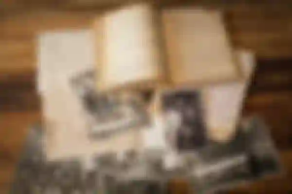 Episodio 1: Torta di pane integrale